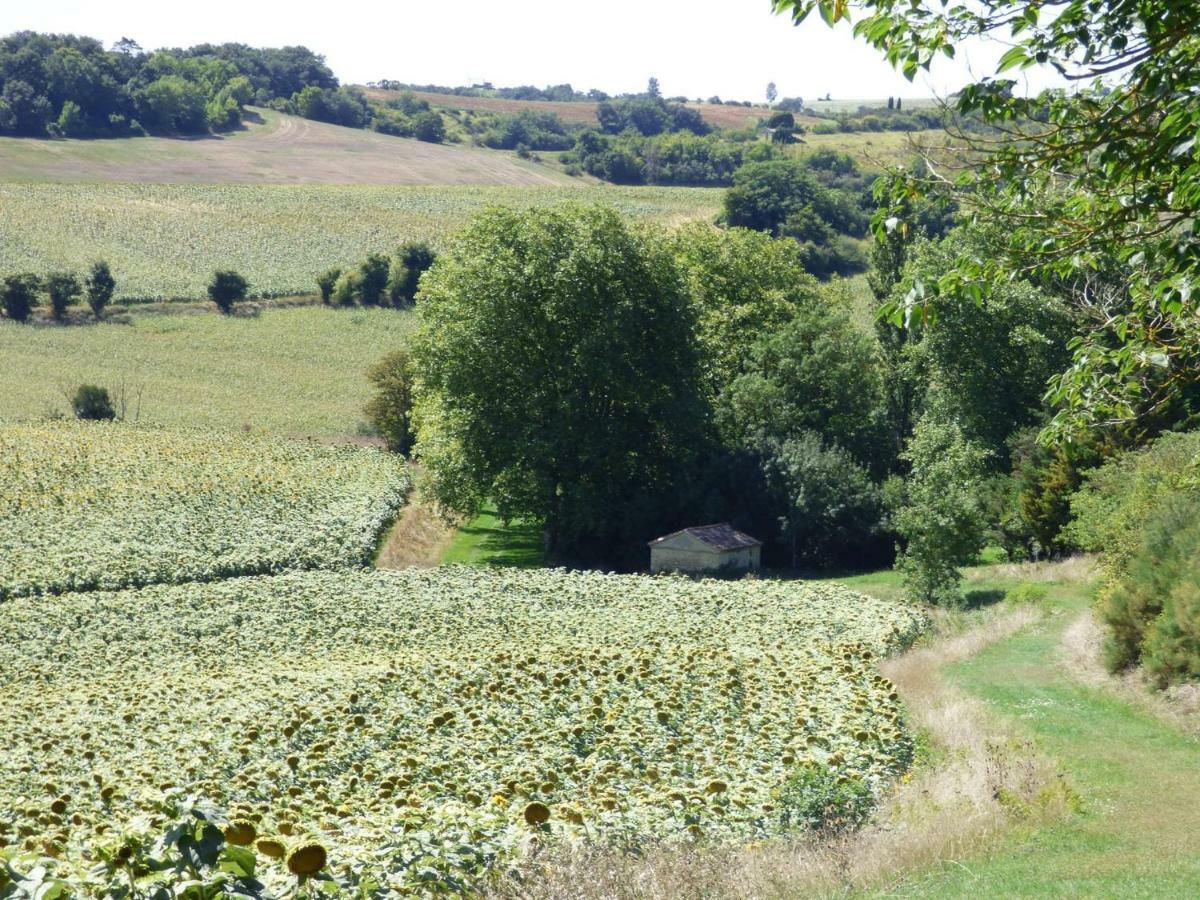 Caraman Domaine En Castanet Bed & Breakfast エクステリア 写真