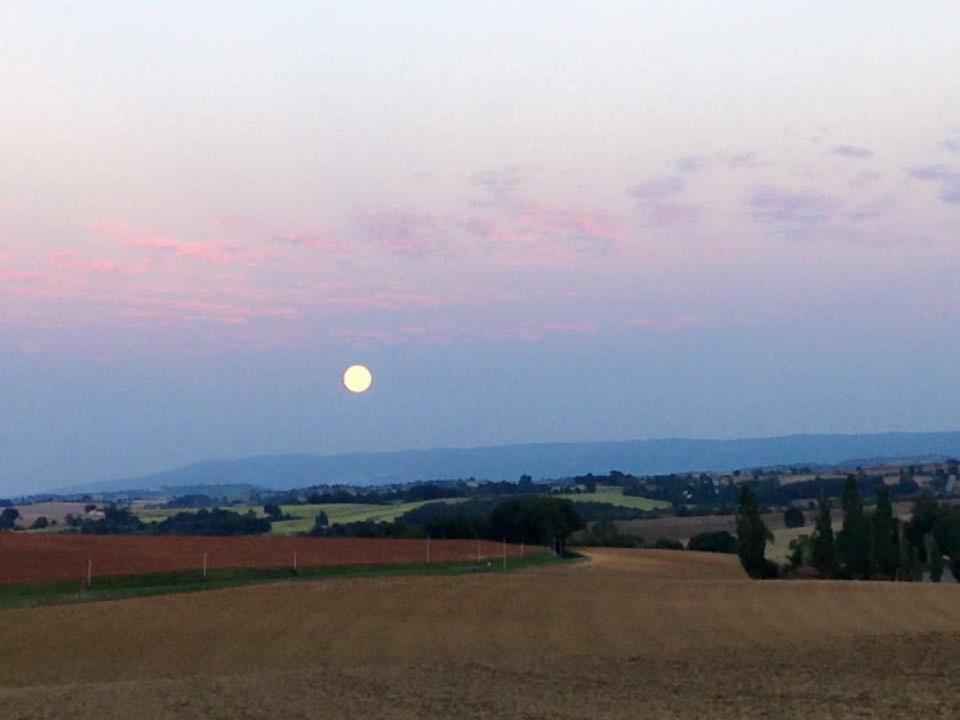 Caraman Domaine En Castanet Bed & Breakfast エクステリア 写真
